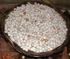 Maybe you would like to learn more about one of these? Calia Ceci Tostati Buonissima