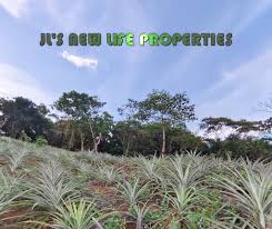 JL's New Life Properties added...