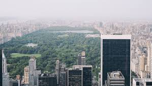 07.08.2021 · millionaire new york surgeon claims he discovered his beauty queen wife was living a secret life as a high society prostitute, says report of court filings ashoaib@insider.com (alia … 3 Perfect Days In New York City On A Budget Folder