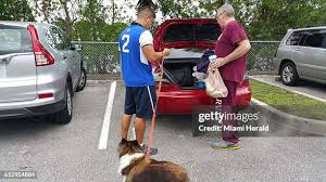 137 Tamarac Fla Stock Photos, High-Res Pictures, and Images