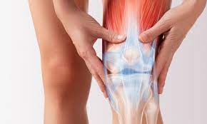 Arthroscopic Knee Surgery Meniscectomy Proliance Orthopedic