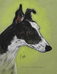 Black And White Greyhound Dog Pin On Greyhound Lover