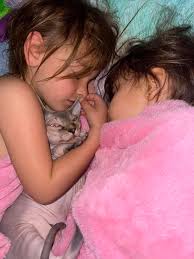 I'm getting my boy neutered any advice?