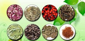 Image result for Sphaeranthus flexuosus