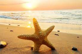 During summer season, days are longer and nights are shorter. Make The Most Out Of The Summer Season On Airbnb