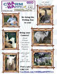 You can also add a pony ride to the petting zoo and provide twice as much fun and excitement in your party. Charmandhappy Com Pony Ride Ponies Petting Zoo Farm Animals Traveling Rental Whittier Los Angeles Orange County