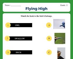 Class 3 evs chapter 3 worksheet. Flying High Class 3 Worksheet Evs Chapter 8