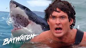 It was rhomeez's birthday but the celebrations quickly turned sour when they encountered a great white shark. Great White Shark Attack On Baywatch Will Mitch Save Jill Baywatch Remastered Youtube