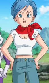 We did not find results for: Anime Feet Dragonball Z Bulma Brief