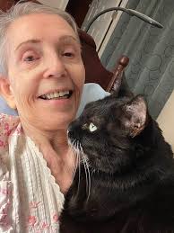 Tuxedo Cat Photos and Stories