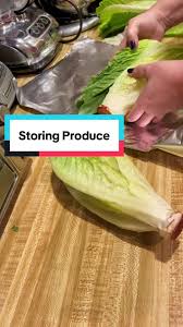 Image result for Lettuce Green 1977 Hussmann