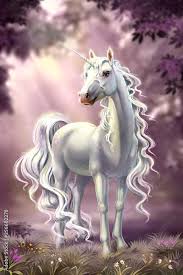 Image result for unicorn