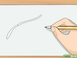 Garuda cendrawasih merpati kakak tua lovebird elang kenari macaw dll yang cantik dipandang. 3 Cara Untuk Menggambar Sayap Wikihow