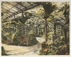 Fern House Botanic Gardens Brisbane Botanical Gardens Antique Print Map Room Botanical Gardens Botanical Historical View