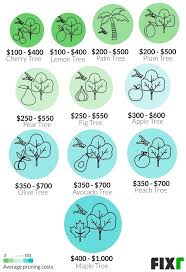 Espalier pear trees often are treated very similarly to apples, but usually are trained horizontal or in a fan shape. Tree Pruning Cost Cost To Prune A Large Tree