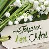 Pourquoi ces clochettes blanches et pas des lilas, des tulipes ou des jonquilles ? Https Encrypted Tbn0 Gstatic Com Images Q Tbn And9gcs6zm4r21k8b56l1xef4n M Xjexalbmyhccclfv1lshv2f6bzs Usqp Cau