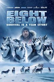 🎬 Eight Below 2 Coming (2025) Watch here:  https://movies4free.lol/movies/watch/eight-below/478 Eight Below 2 (2025)  is an adventure drama film directed by Frank Marshall, inspired by a true  story. Set in Antarctica, it follows