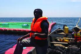 The correct spelling that matches the phonetic pronunciation is with swahili: William Isebaiddu At The Fish Cages In Koome Island Resized People S Trust For Endangered Species