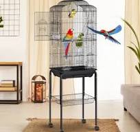Jaula de vuelo para pájaros VEVOR de 60 pulgadas, jaula grande de metal  para periquitos, cacatúas, loros, periquitos, agapornis y canarios, con ...