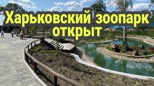 Харьковский зоопарк располагается от нее примерно в 850 м. Vot I Otkrylsya Harkovskij Zoopark Den Goroda Harkov 2021 Youtube