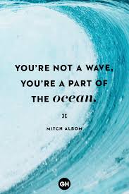 These short beach quotes are. 40 Best Beach Quotes Sayings And Quotes About The Beach