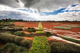 Red Sand Garden Cranbourne In 2020 Australian Garden Nature Outdoor