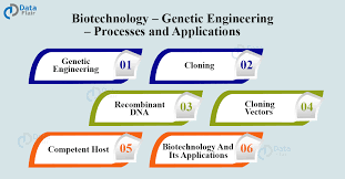 Advancmets in genetic feild recently signifies genetic modification on humans are certainly possible. Biotechnology And Its Applications Dataflair
