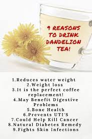 The Health Benefits Of Dandelion Tea Detox Dandelion Tea Dandelion Tea Detox Dandelion Benefits