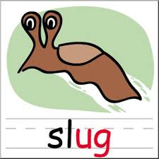 Image result for slug images clip art