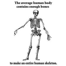True I Checked Funny Memes Sarcastic Bones Funny Human Body