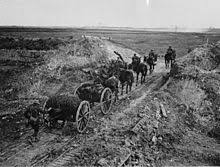 Image result for gun team 1918