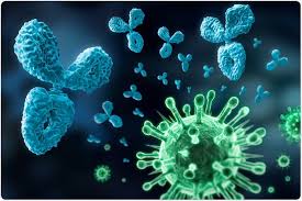The virus actually causes the disease and is not just happening alongside the disease. Children With Mis C Have Different Antibody Responses Than Adults With Covid 19