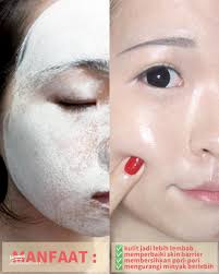 Manfaat Clay Mask untuk Kulit Wajah yang Sehat