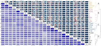 Hiperfet power mosfets, ixfh30n50 datasheet, ixfh30n50 circuit, ixfh30n50 data sheet : Floods And Rivers A Circular Causality Perspective Scientific Reports