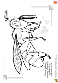 Epingle Sur Desenhos Para Colorir
