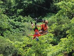 North america / mexico / puerto vallarta. Tirolesas Puerto Vallarta Con Degustacion Tequila Ofertas Yumping Com Mx