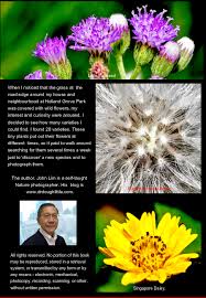 We did not find results for: Wild Flowers Outside My House Dr Doughlittle