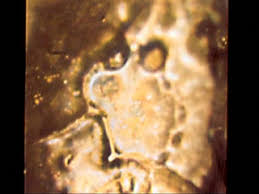 Related image