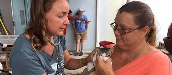 Our adoption center, the pet place, is on northside road in princesse, next door to food town. St Croix Animal Welfare Center Humane Center