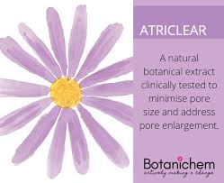 Image result for Athrixia phylicoides