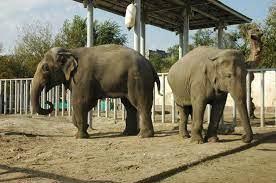 We did not find results for: Nash Zoopark Luchshij Otzyv O Harkovskij Zoopark Harkov Ukraina Tripadvisor