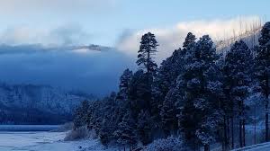 Maybe you would like to learn more about one of these? Cabins Near Durango Co Archives Pine River Lodge
