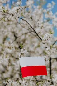 A collection of the top polska wallpaper hd wallpapers and backgrounds available for download for free. Hd Wallpaper Flag Of Poland Polska Flaga Nature Europe Tree Polish National Wallpaper Flare