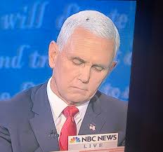 Fly On Pence S Head Generates Buzz In Vp Debate Sentinel Colorado