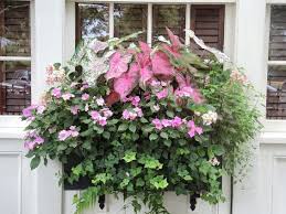 Maybe you would like to learn more about one of these? Taking A Stroll Window Boxes Window Box Plants Container Flowers Window Box Flowers