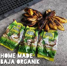 1) baja em1 manfaat kepada alam dan kehidupan kemajuan sains dan teknologi bukan sahaja mengembangkan penghasilan produk dalam bidang perindustrian, perubatan, pendidikan dan komunikasi tetapi juga dalam bidang pertanian khususnya penghasilan baja sintetik dan racun. Mudahnya Hasil Baja Organik Dari Buah Pisang Dengan Teknik Kompos