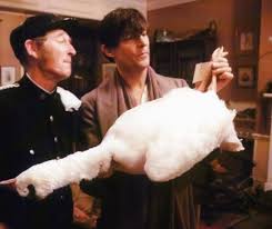 In The Sherlock Holmes Story The Blue Carbuncle The Gem Was Inside A Goose Martin And His Ring In Uskerty Anyone