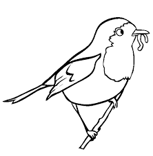 Robin coloring pages damian wayne robin comic version tutorial draw it. Robin Coloring Pages Best Coloring Pages For Kids Bird Coloring Pages Red Robin Bird Robin Bird