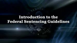 Introduction To The Federal Sentencing Guidelines United