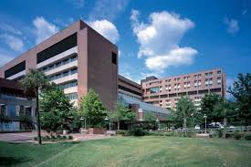 The job description of health informatics. Department Of Emergency Medicine College Of Medicine University Of Florida